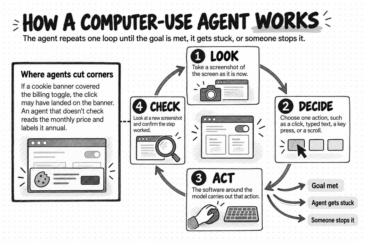 Loop diagram titled How a computer-use agent works, with the line The agent repeats one loop until the goal is met, it gets stuck, or someone stops it. Four numbered stations run clockwise: 1, Look: take a screenshot of the screen as it is now; 2, Decide: choose one action, such as a click, typed text, a key press, or a scroll; 3, Act: the software around the model carries out that action; 4, Check: look at a new screenshot and confirm the step worked. A note joined to Check, Where agents cut corners, says that if a cookie banner covered the billing toggle, the click may have landed on the banner, and an agent that doesn't check reads the monthly price and labels it annual. Three exits leave the loop: Goal met, Agent gets stuck, Someone stops it.
